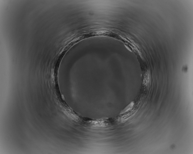 X0000101140524200806270922