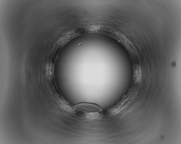 X0000101140525200806270922