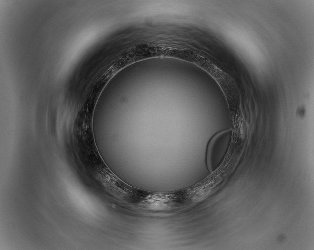 X0000101140526200806270922