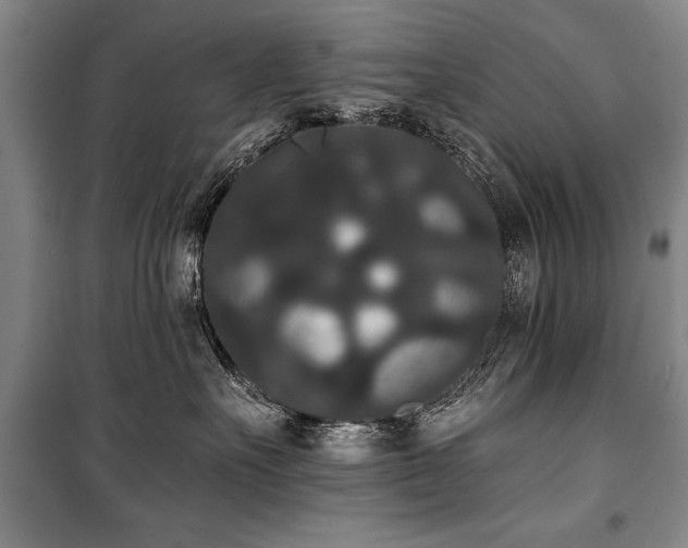 X0000101140527200806270922