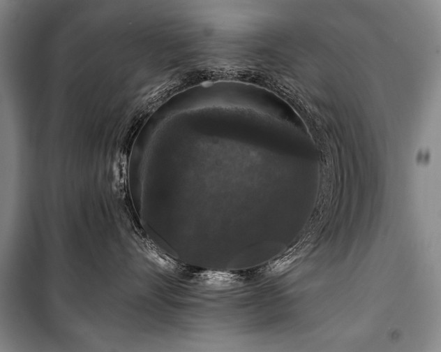 X0000101140528200806270922