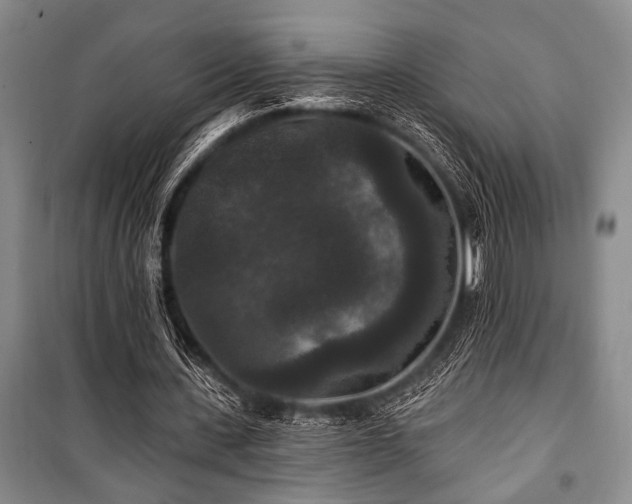 X0000101140531200806270922