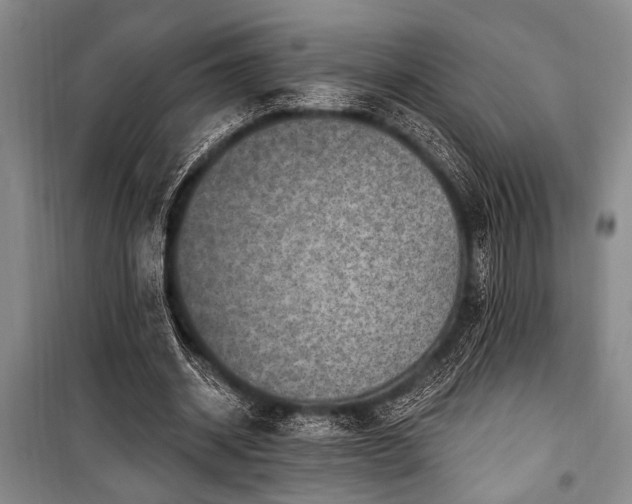 X0000101140534200806270922