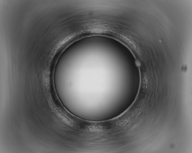 X0000101140535200806270922