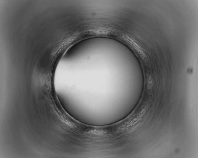 X0000101140537200806270922