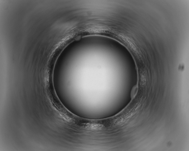 X0000101140539200806270922