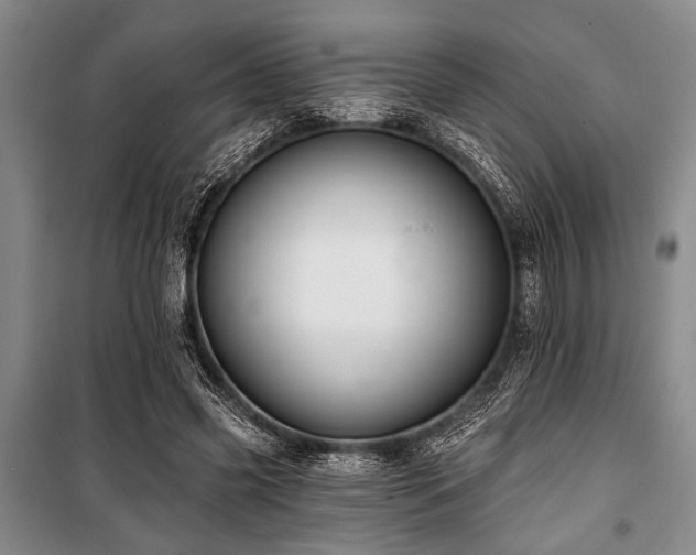 X0000101140541200806270922