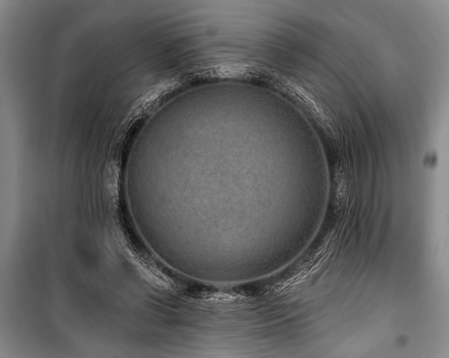 X0000101140542200806270922