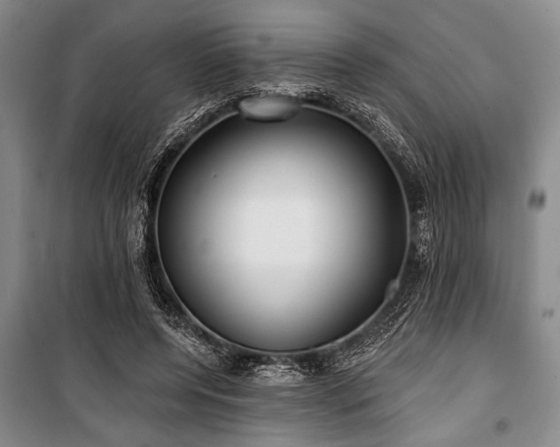 X0000101140544200806270922