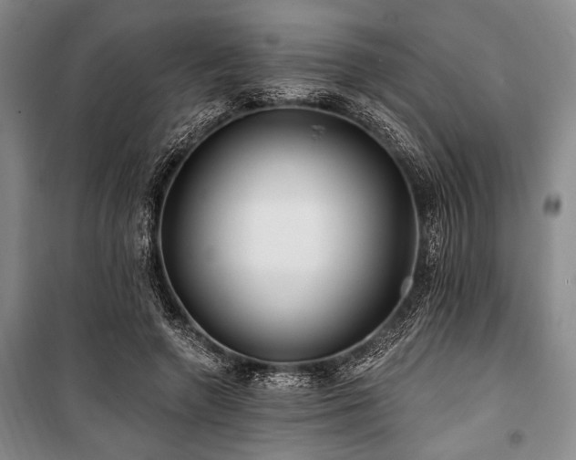 X0000101140546200806270922