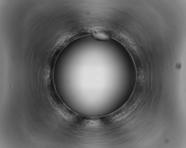 X0000101140548200806270922