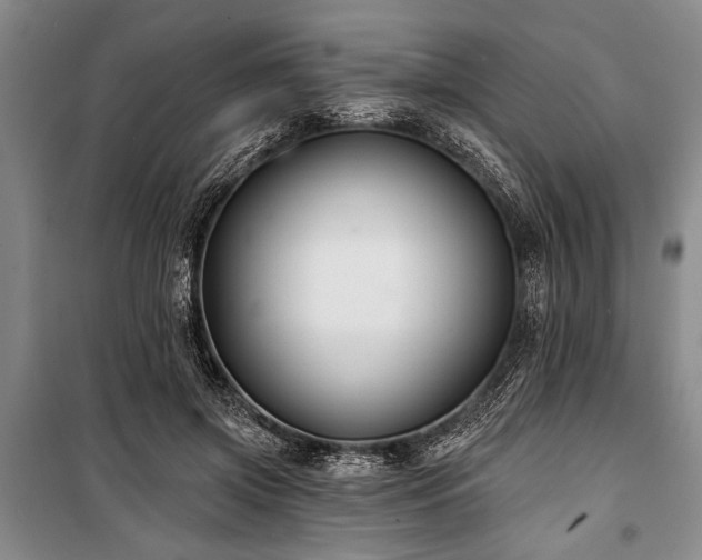 X0000101140549200806270922