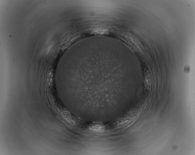 X0000101140551200806270922