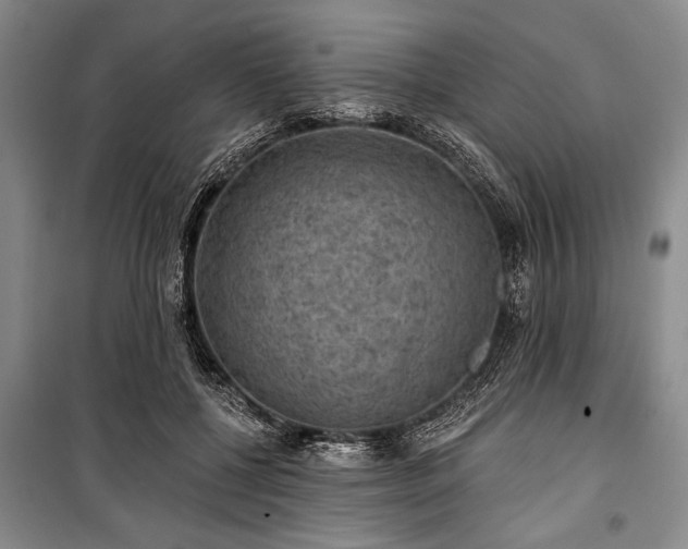 X0000101140552200806270922