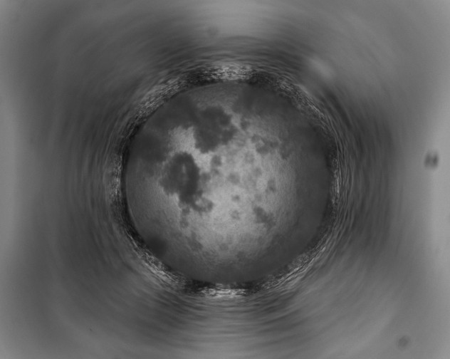 X0000101140553200806270922