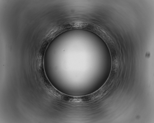 X0000101140554200806270922