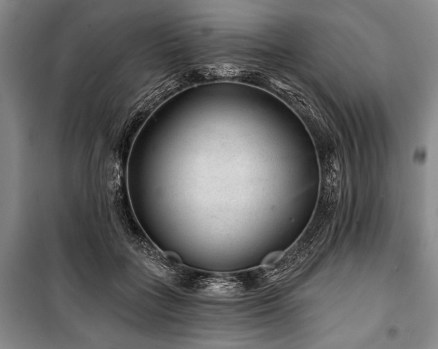 X0000101140555200806270922