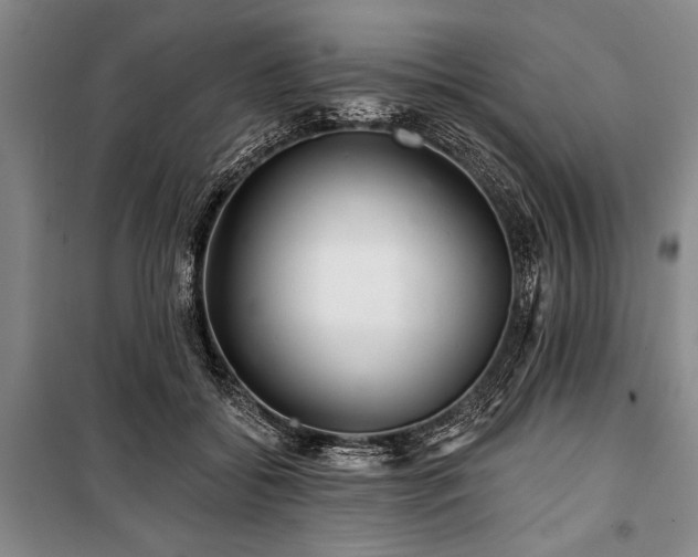 X0000101140556200806270922