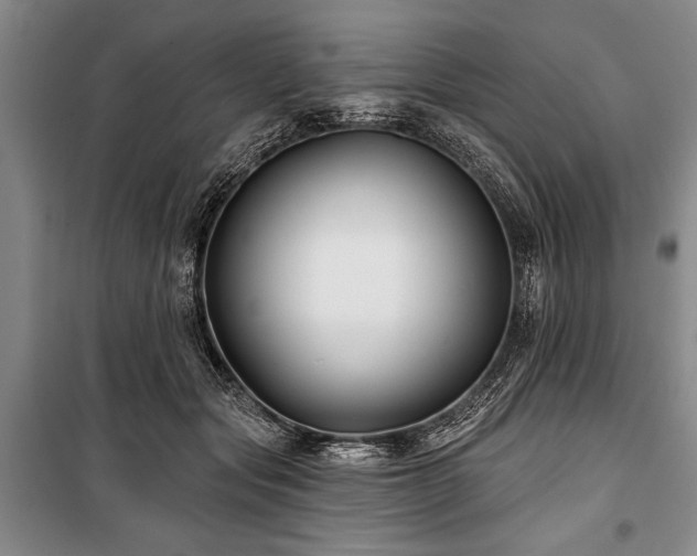 X0000101140557200806270922