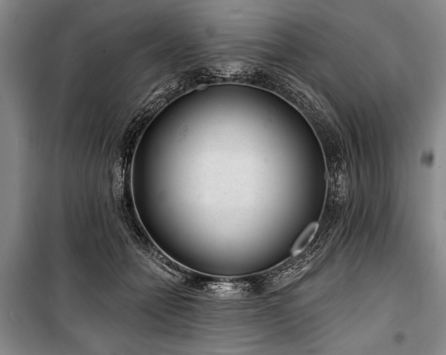 X0000101140558200806270922