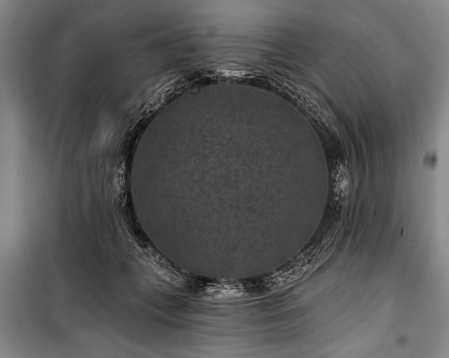 X0000101140559200806270922