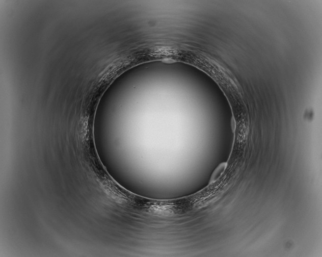 X0000101140560200806270922