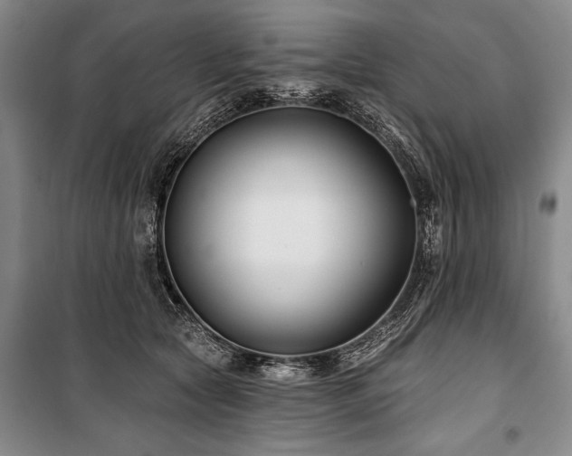 X0000101140561200806270922