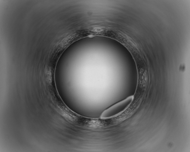 X0000101140562200806270922