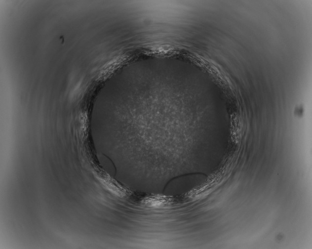 X0000101140563200806270922