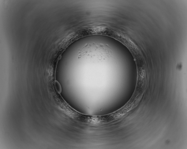 X0000101140565200806270922