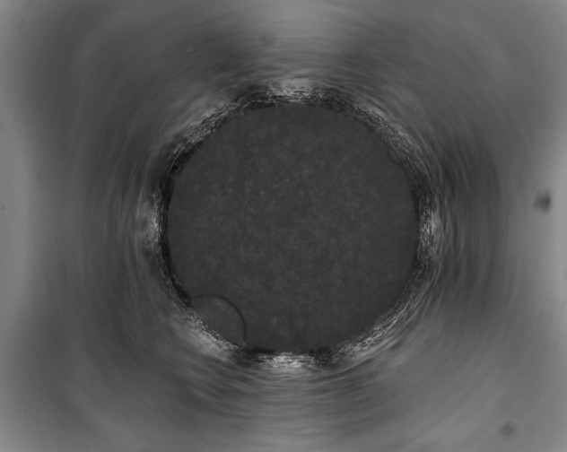 X0000101140566200806270922