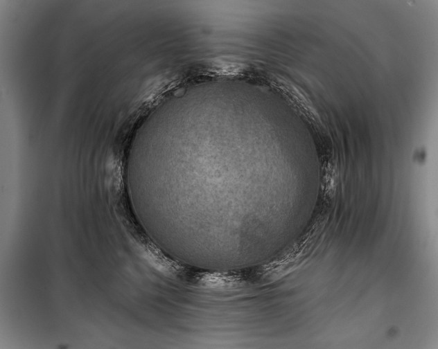 X0000101140568200806270922