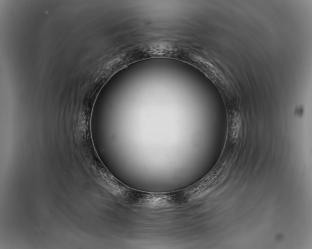 X0000101140569200806270922