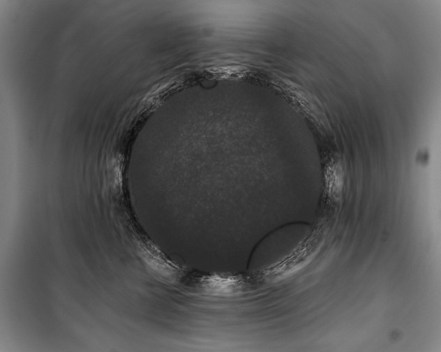 X0000101140570200806270922