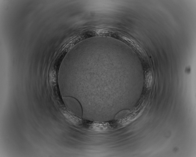 X0000101140571200806270922