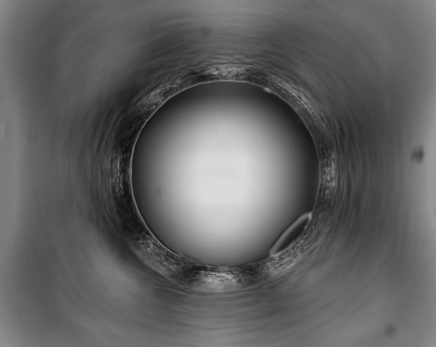 X0000101140572200806270922