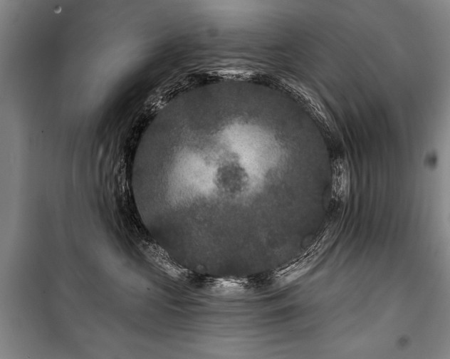 X0000101140573200806270922