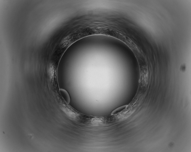 X0000101140574200806270922