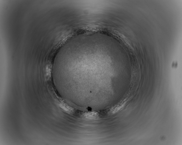 X0000101140576200806270922