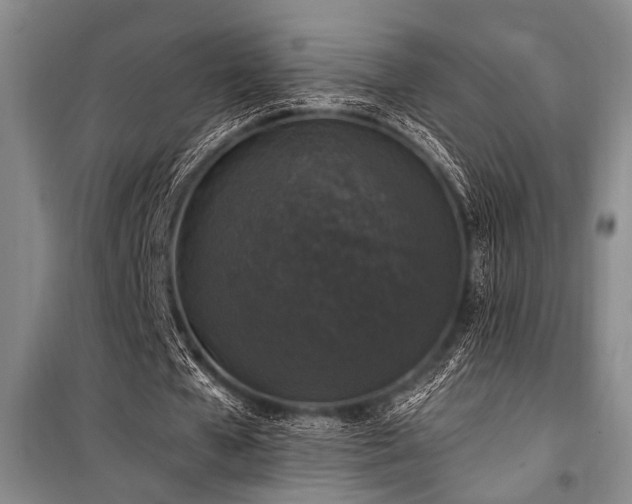 X0000101140577200806270922