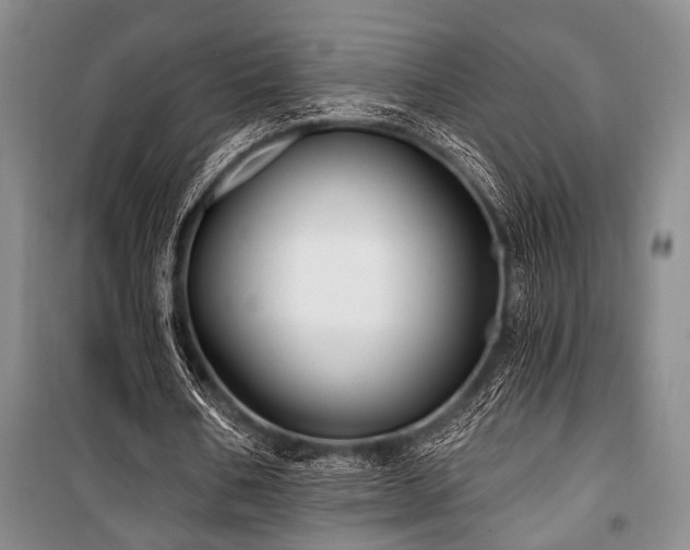 X0000101140578200806270921