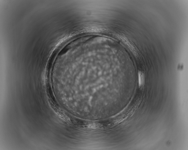 X0000101140579200806270921