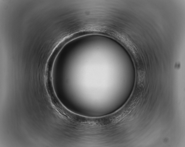 X0000101140580200806270921