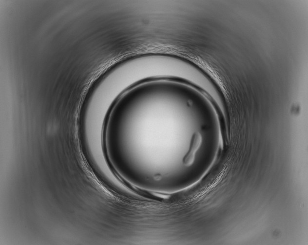 X0000101140581200806270921