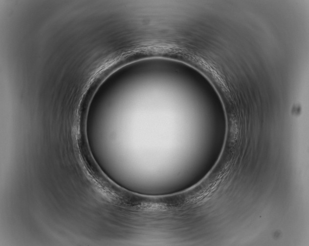 X0000101140582200806270921