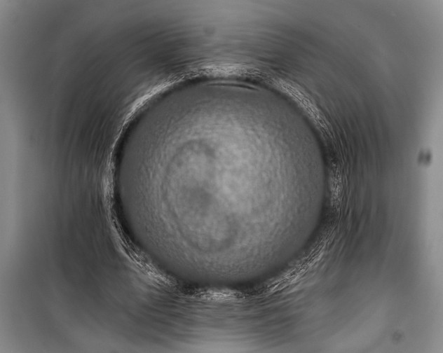 X0000101140583200806270921