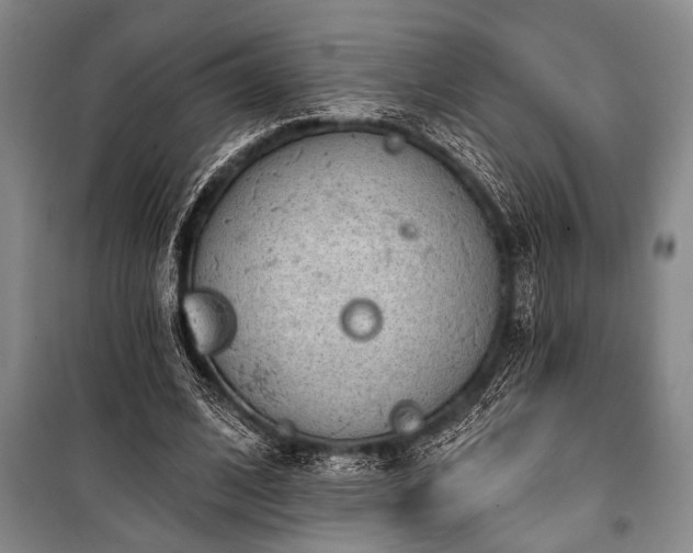 X0000101140584200806270921