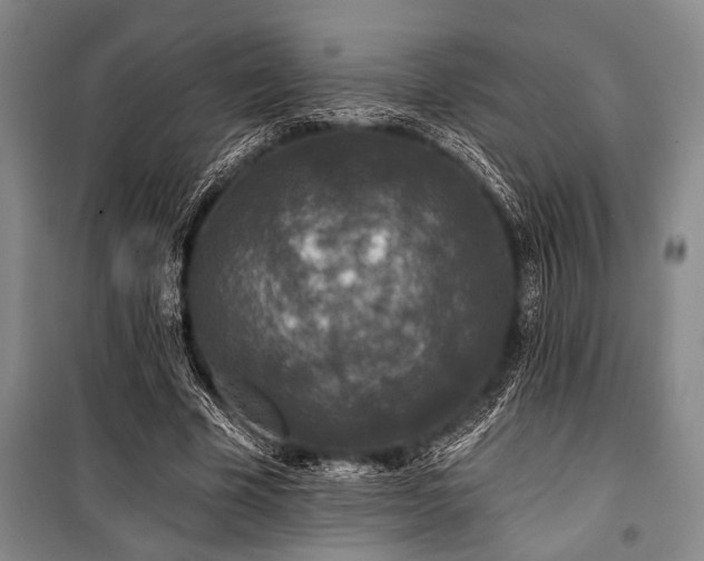 X0000101140585200806270921