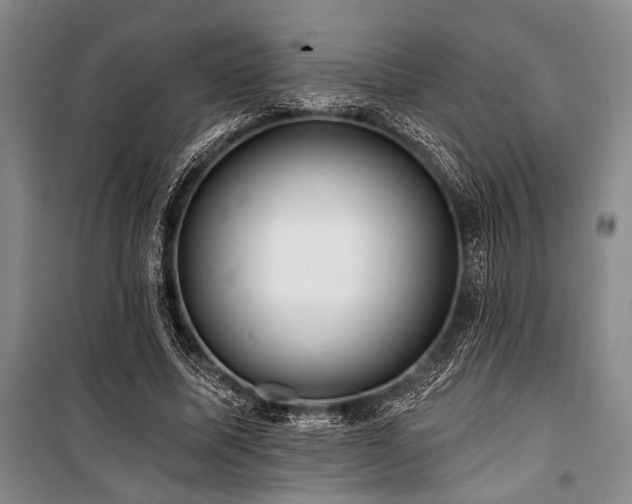 X0000101140587200806270921