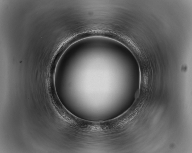 X0000101140588200806270921